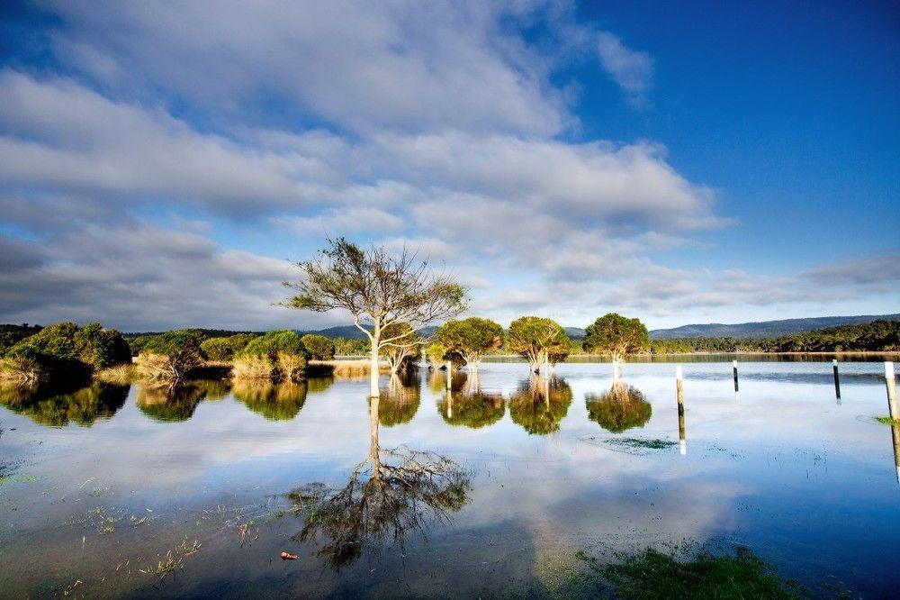 Отель Reflections Eden - Holiday Park Экстерьер фото